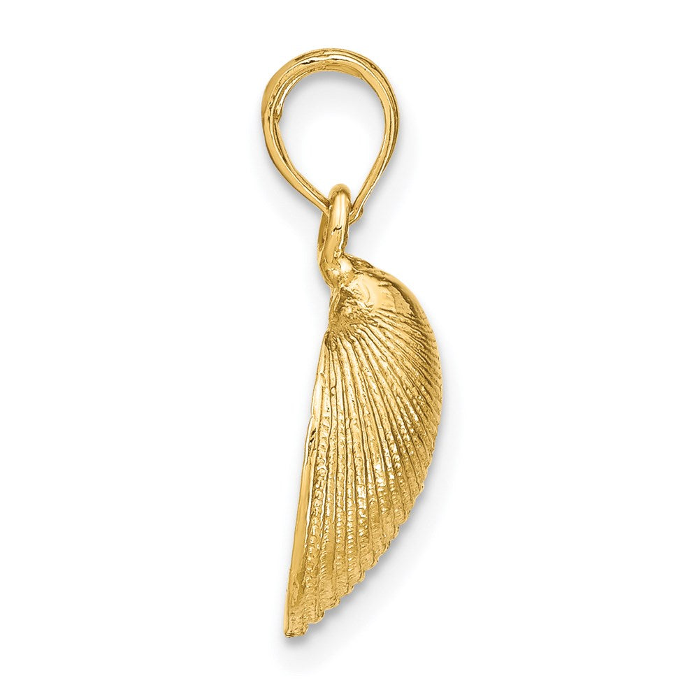 14k Gold Medium Clam Shell Pendant - Charlie & Co. Jewelry