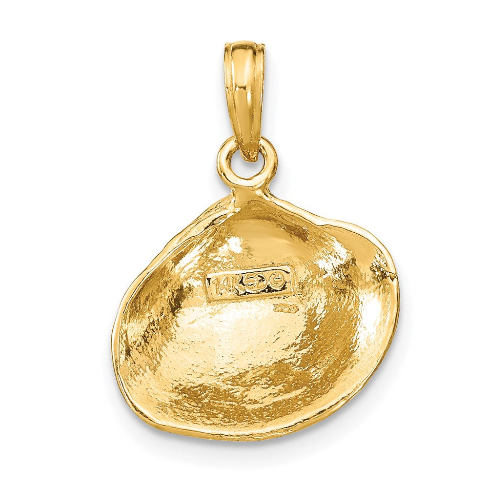 14k Gold Medium Clam Shell Pendant - Charlie & Co. Jewelry