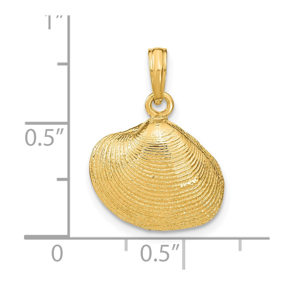 14k Gold Medium Clam Shell Pendant - Charlie & Co. Jewelry