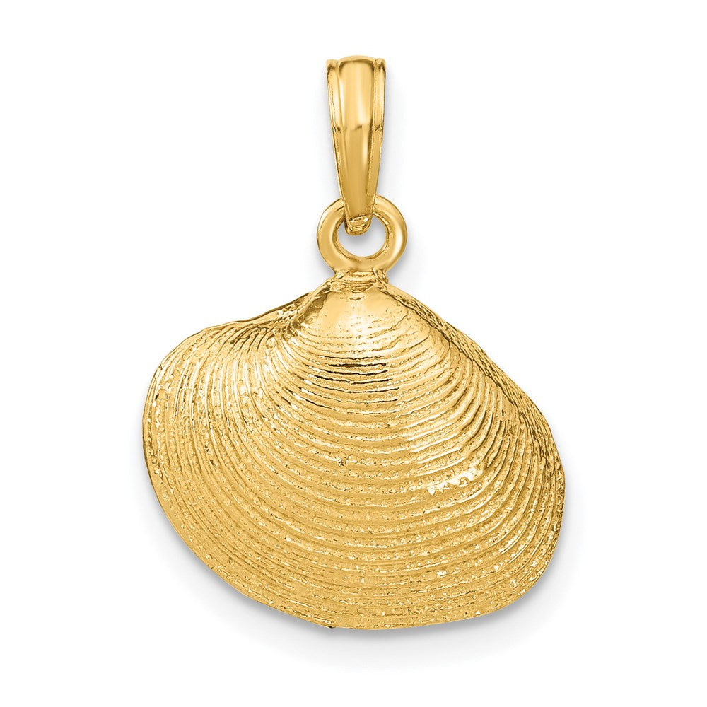 14k Gold Medium Clam Shell Pendant - Charlie & Co. Jewelry