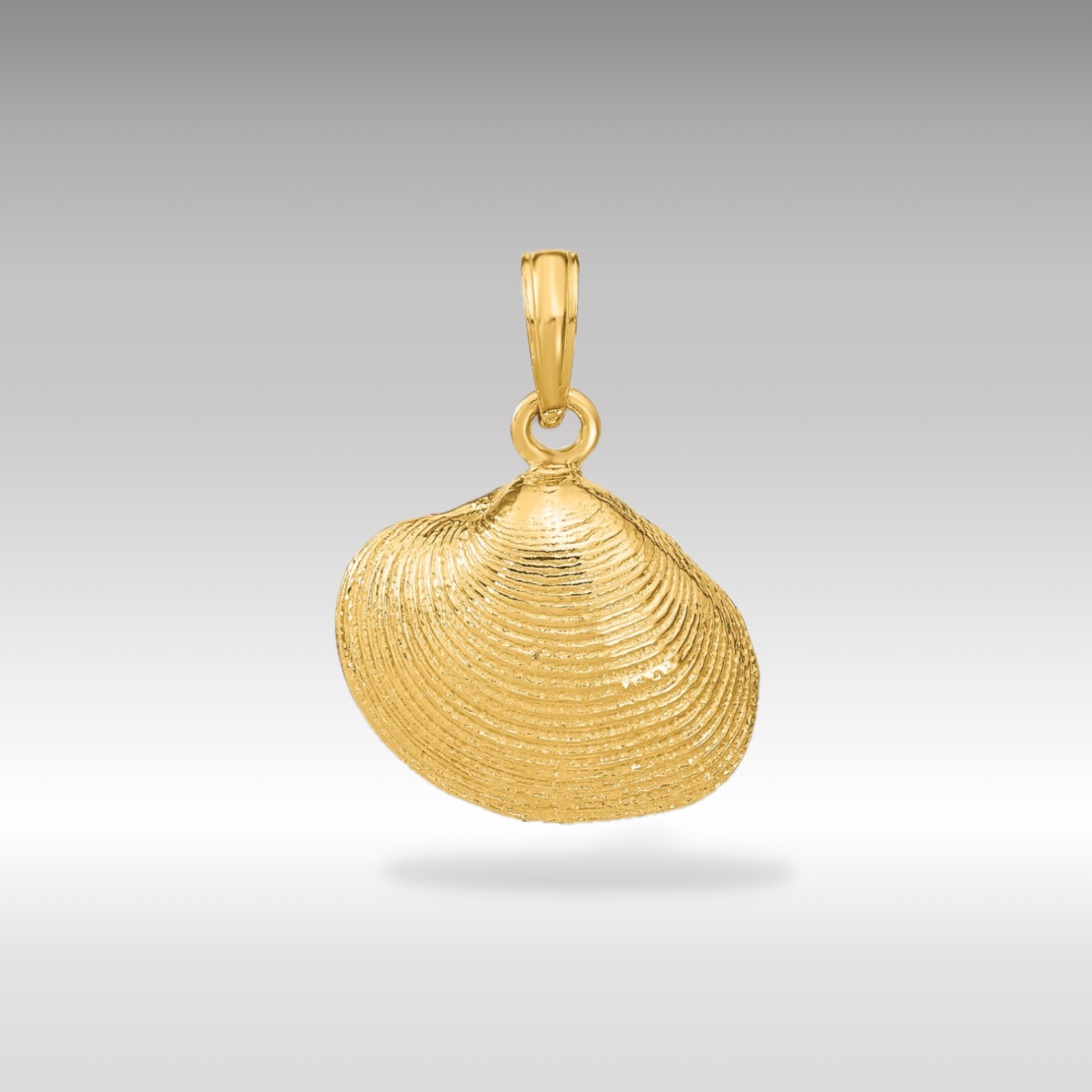 14k Gold Medium Clam Shell Pendant - Charlie & Co. Jewelry