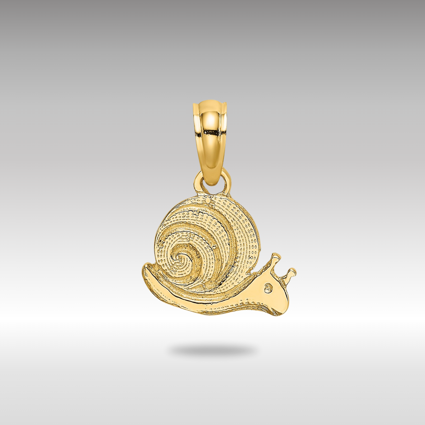 Gold Textured Mini Snail Pendant - Charlie & Co. Jewelry