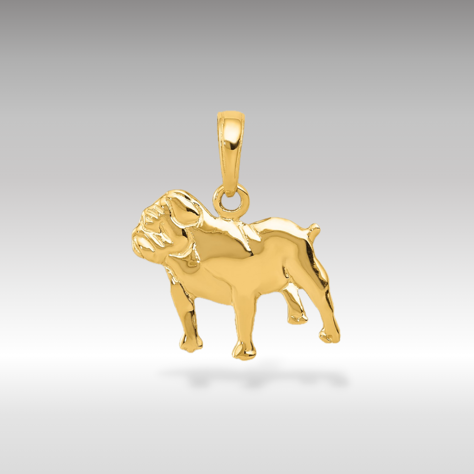 14K Gold Bulldog Charm - Solid Gold Dog Pendant - Charlie & Co. Jewelry