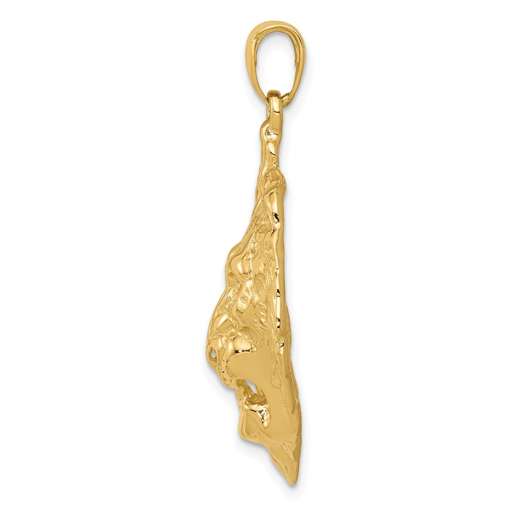 14k Gold Lion Necklace Pendant - Charlie & Co. Jewelry