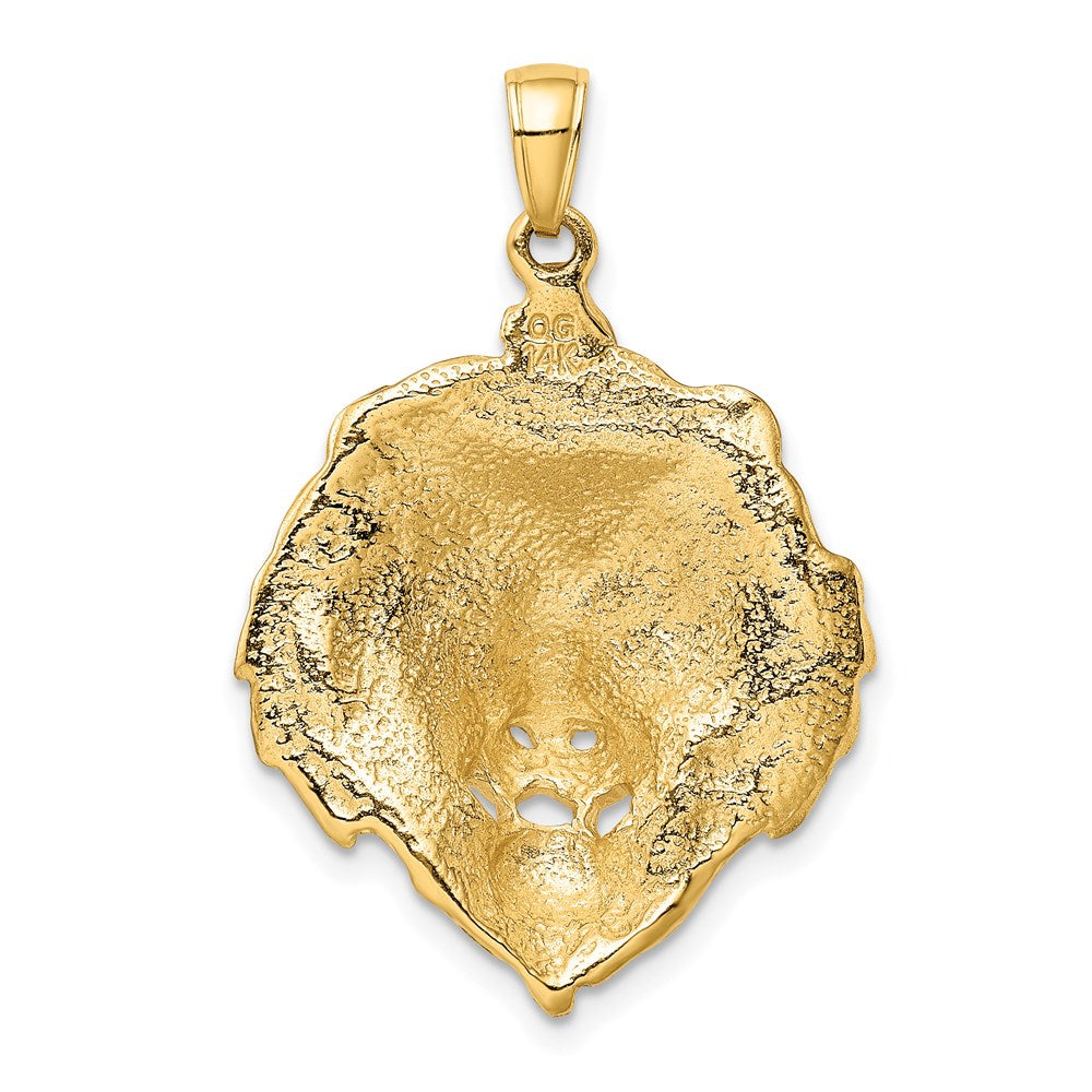 14k Gold Lion Necklace Pendant - Charlie & Co. Jewelry