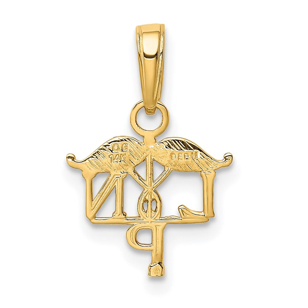 Gold Licensed Practical Nurse Charm Necklace Model-K4933 - Charlie & Co. Jewelry