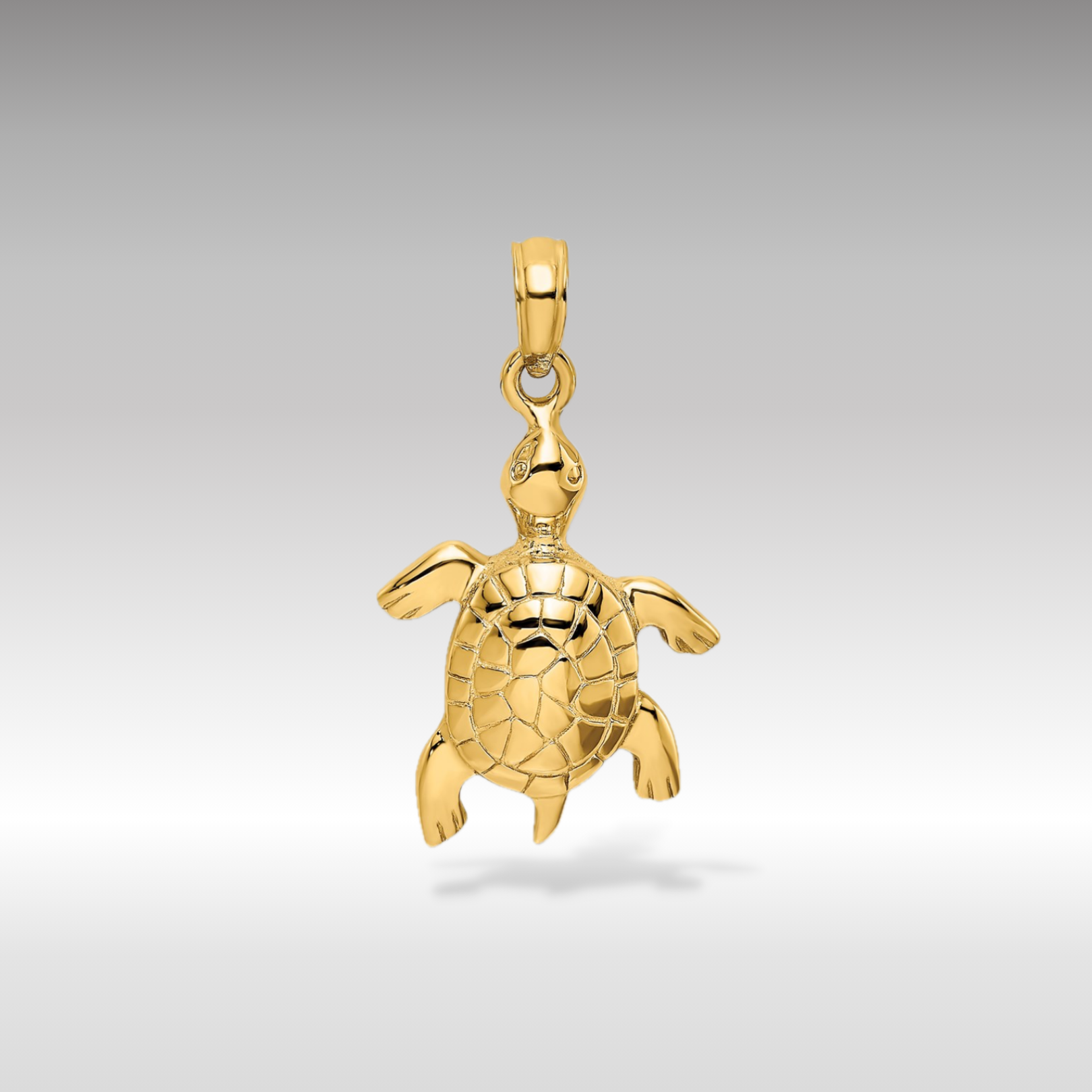 14K Gold Polished Turtle Charm - Charlie & Co. Jewelry