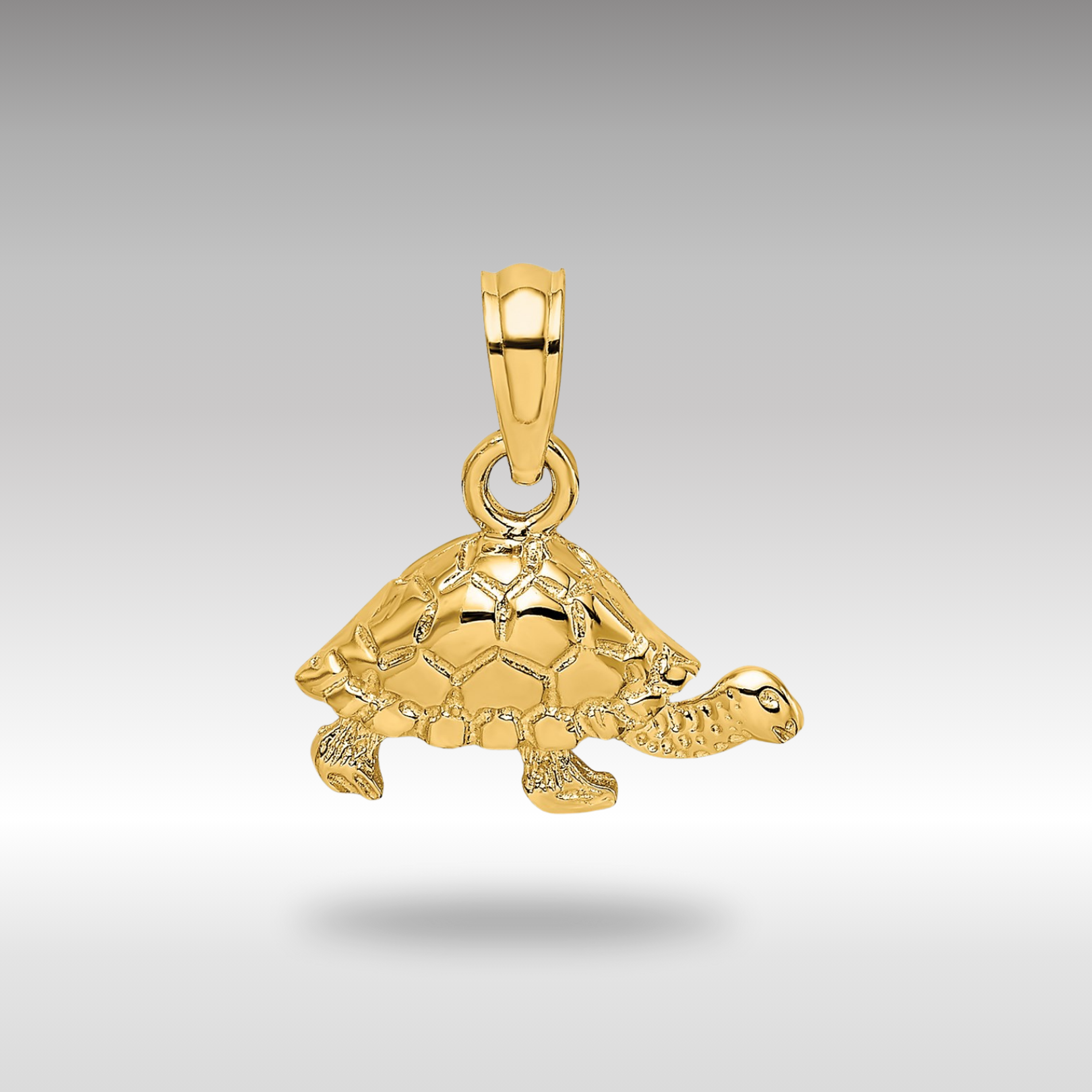 Gold Polished and Engraved Mini Turtle Charm - Charlie & Co. Jewelry