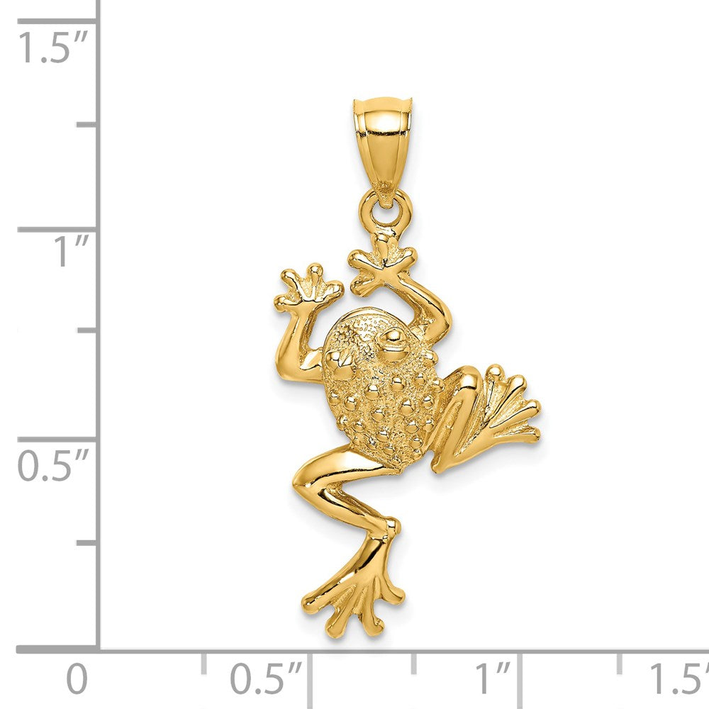 14K Gold Frog Pendant with Textured Back - Charlie & Co. Jewelry