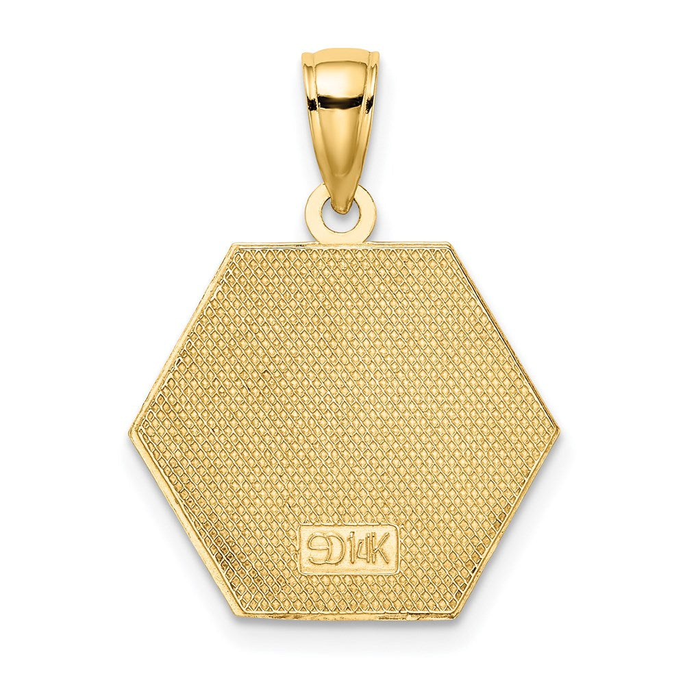 Charlie & Co Jewelry | 14k Enameled Textured Back Caduceus Medical Disc - Model K6732