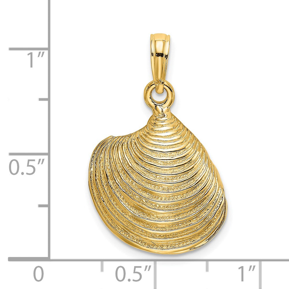 14K Gold 3D Textured Clam Shell Pendant - Charlie & Co. Jewelry