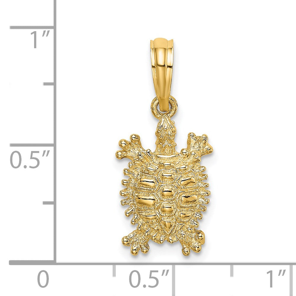 14k Gold Intricate Land Turtle Charm - Charlie & Co. Jewelry