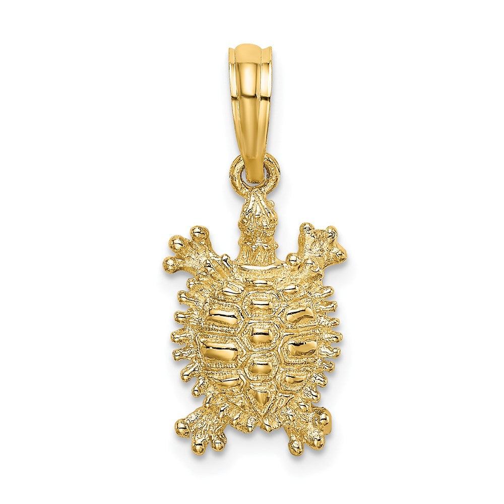 14k Gold Intricate Land Turtle Charm - Charlie & Co. Jewelry