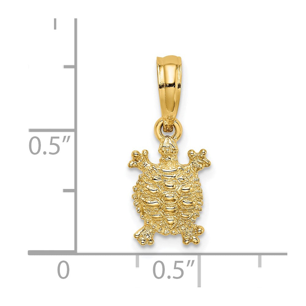 14K Gold Textured Land Turtle Charm - Charlie & Co. Jewelry