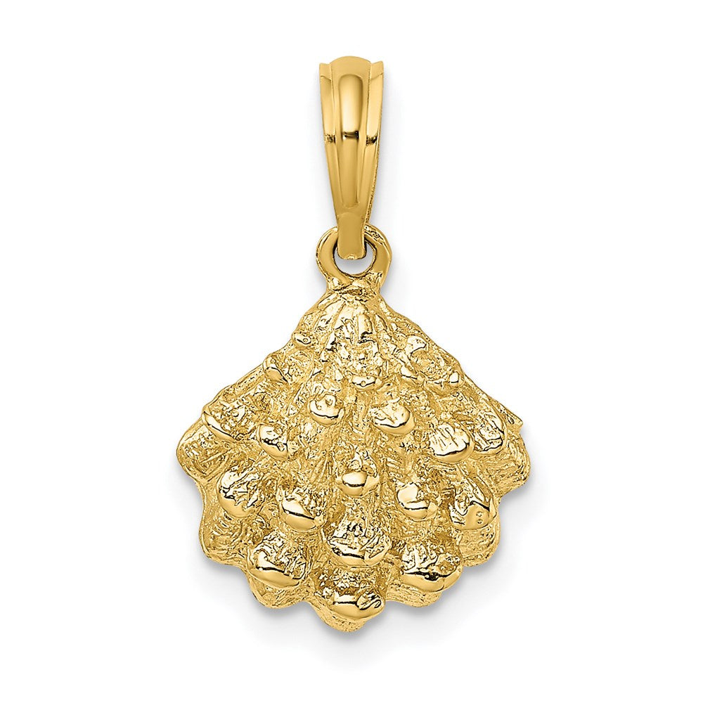 Charlie & Co Jewelry | 14k Textured Oyster Shell Charm - Model K7654