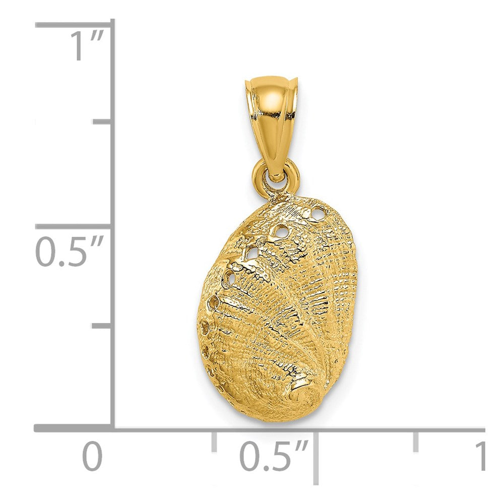 Charlie & Co Jewelry | 14k Abalone Shell Charm - Model K7795