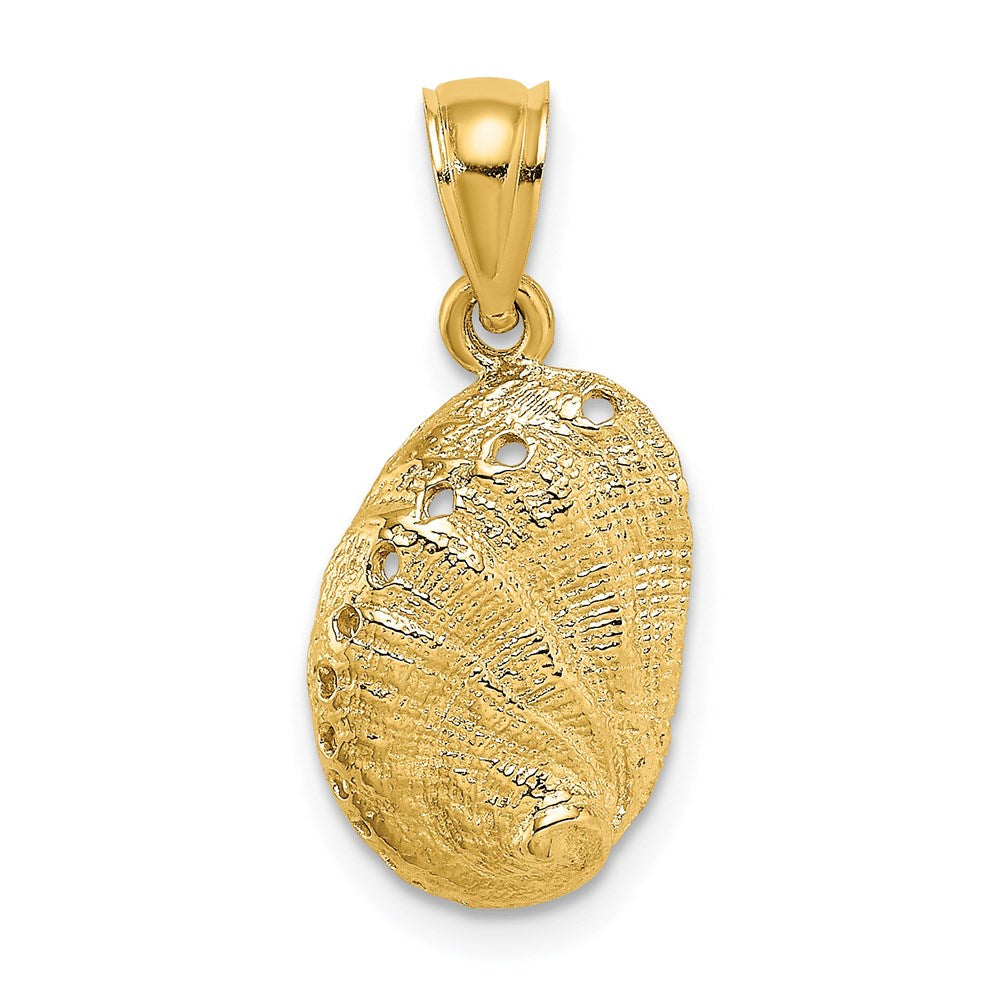 Charlie & Co Jewelry | 14k Abalone Shell Charm - Model K7795