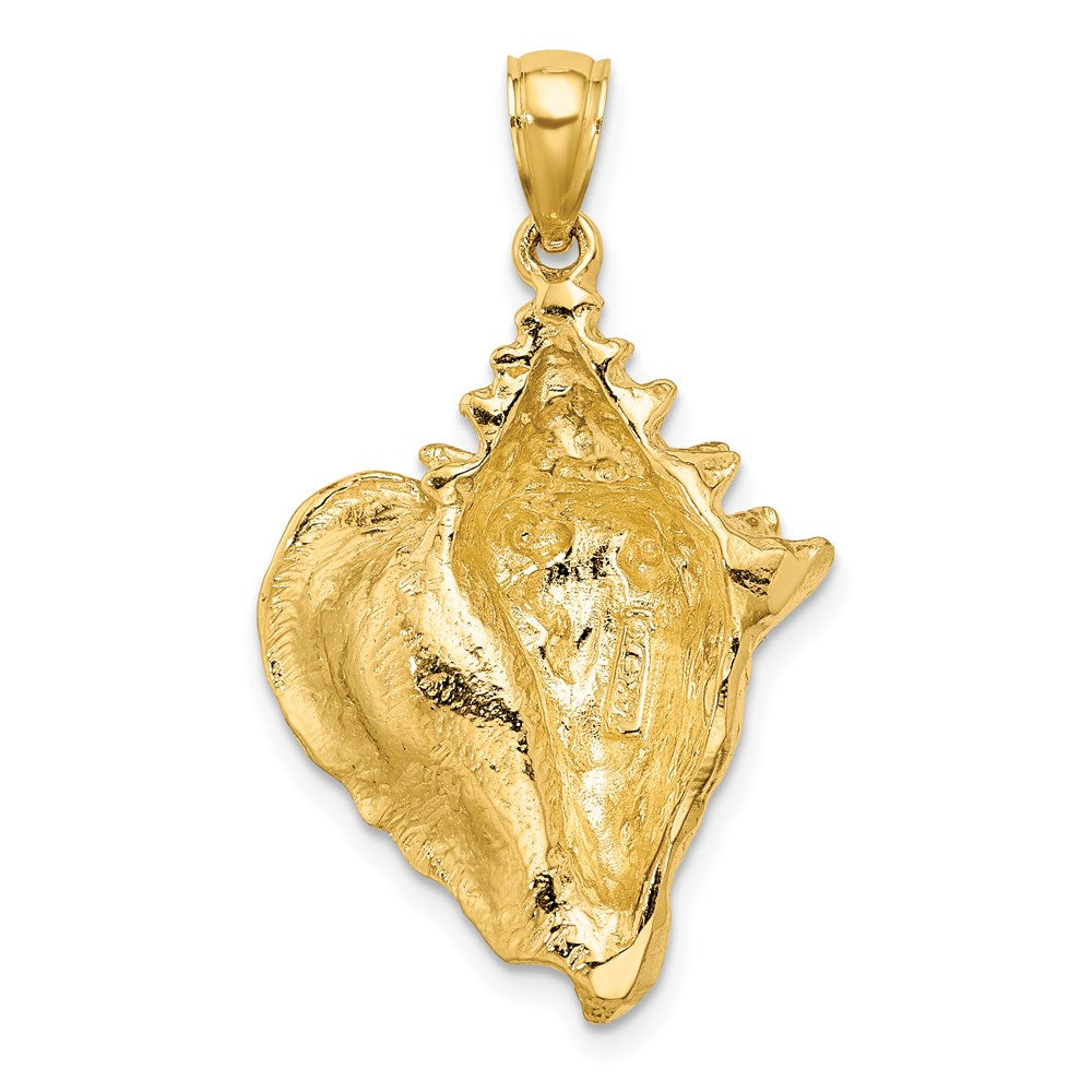 Charlie & Co Jewelry | 14k Conch Shell Charm - Model K7853