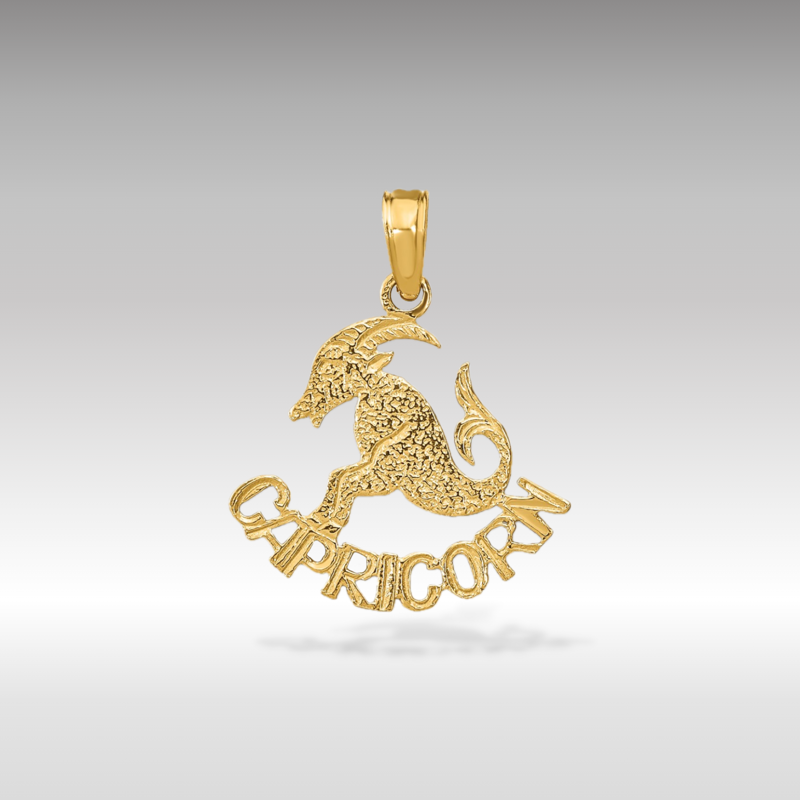 14K Gold Sea Goat Astrology CAPRICORN Zodiac Charm - Charlie & Co. Jewelry