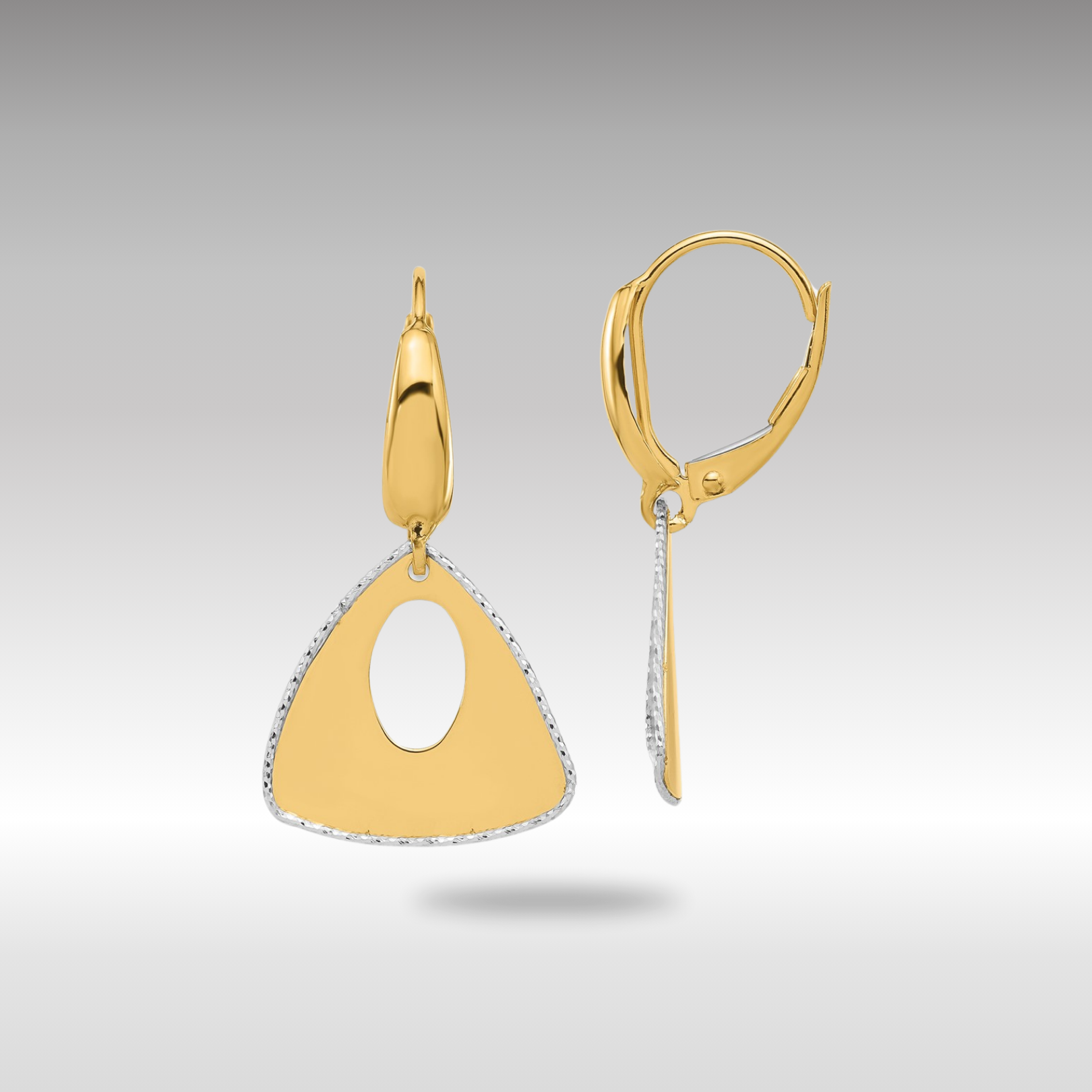 Gold Two-tone Pol and Dia-cut Triangle Dangle Leverback Earrings - Model LE2370 - Charlie & Co. Jewelry