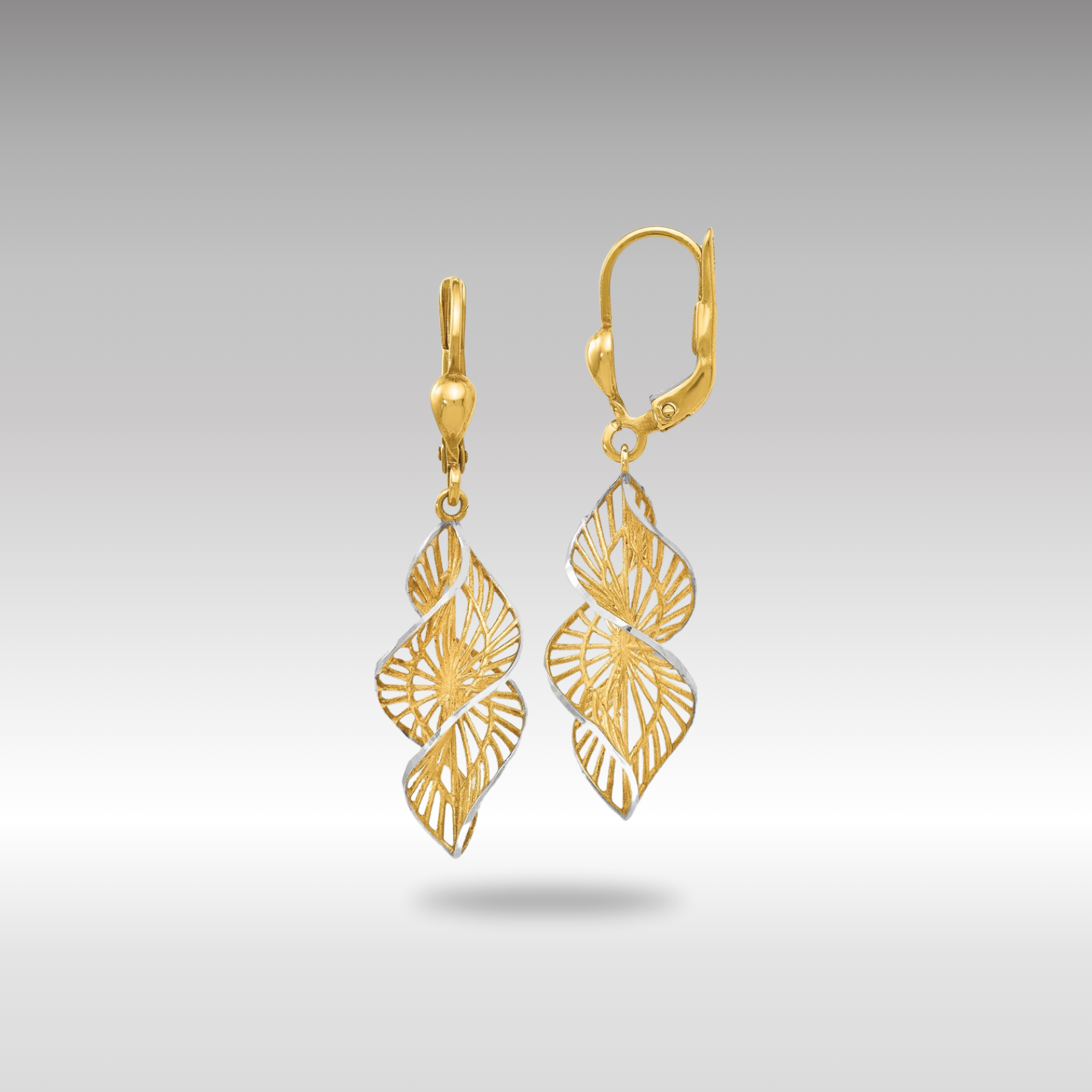 Gold Leslie's 14K with White Rhodium Textured and D/C Leverback Earrings - Model LE668 - Charlie & Co. Jewelry