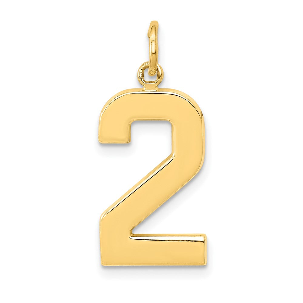 Charlie & Co Jewelry | 14k  Large Polished Number 2 Charm - Model LP02