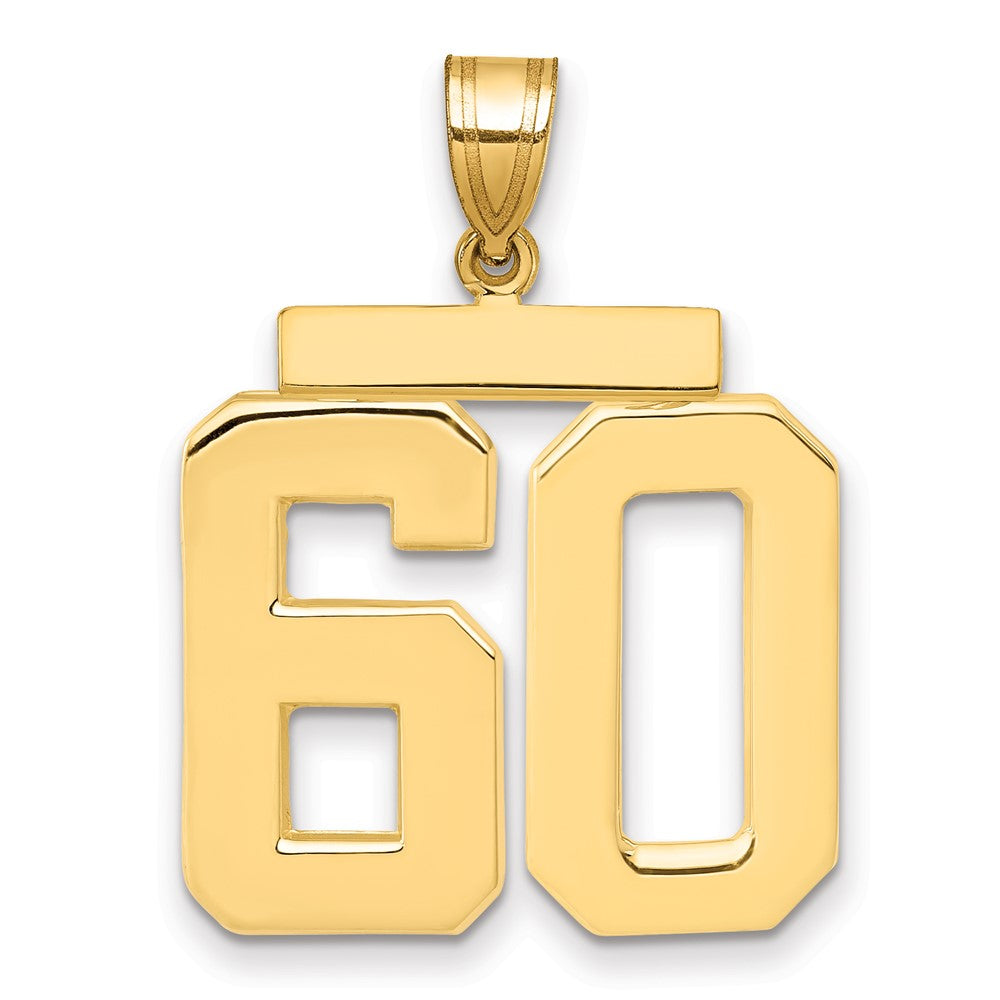 Charlie & Co Jewelry | 14k Large Polished Number 60 Charm - Model LP60