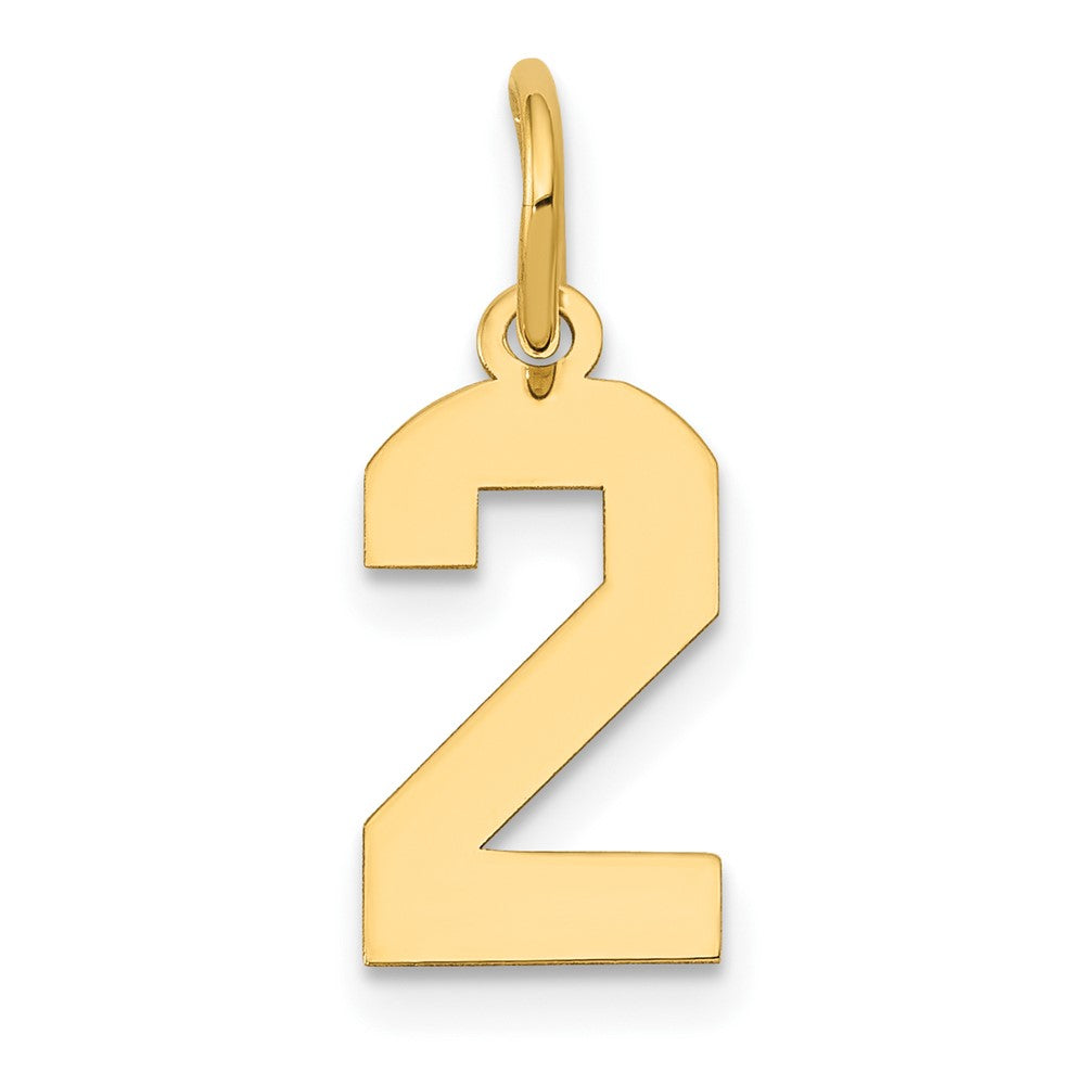 Charlie & Co Jewelry | 14k Small Polished Number 2 Charm - Model LS02