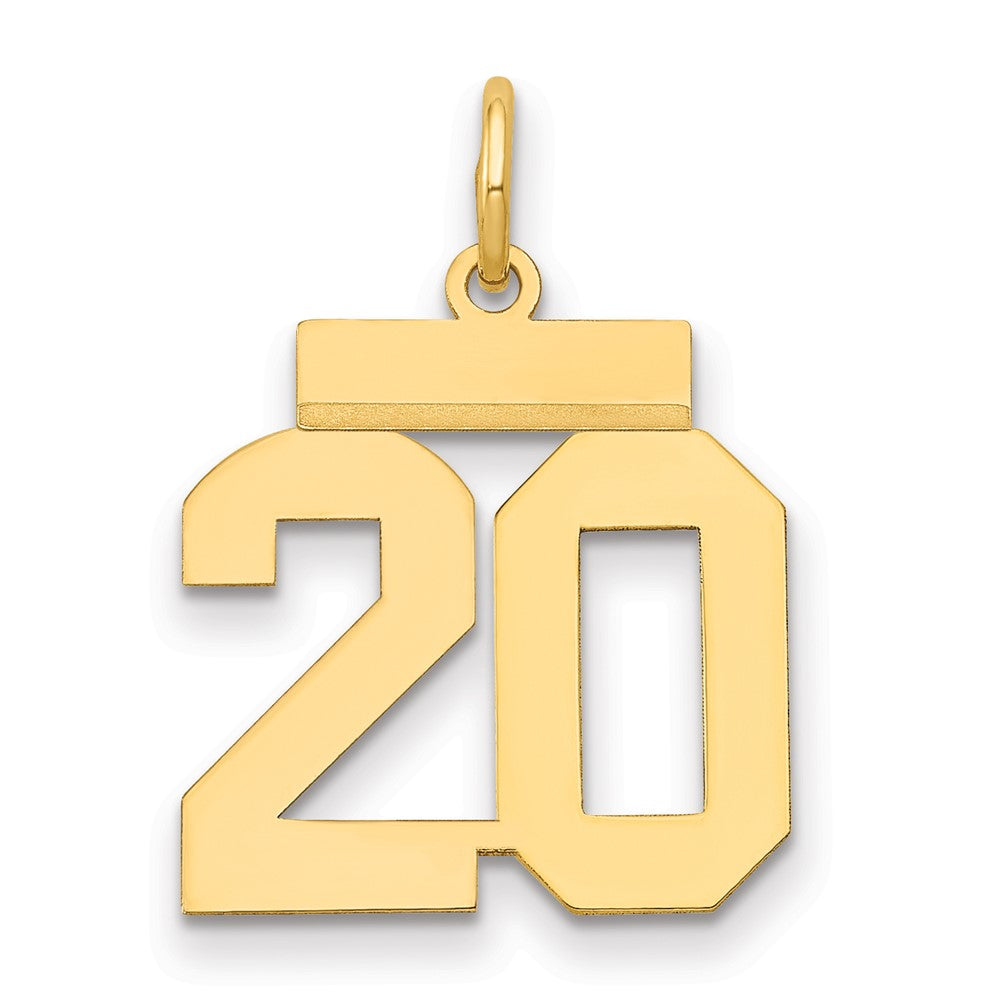 Charlie & Co Jewelry | 14k Small Polished Number 20 Charm - Model LS20