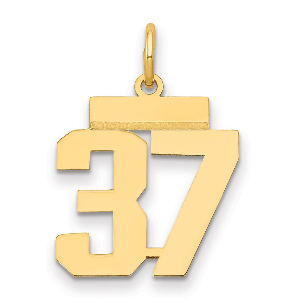 Charlie & Co Jewelry | 14k Small Polished Number 37 Charm - Model LS37