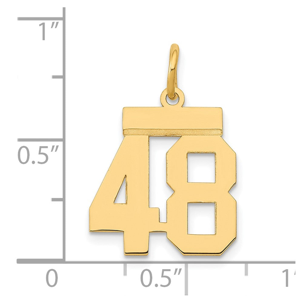 Charlie & Co Jewelry | 14k Small Polished Number 48 Charm - Model LS48