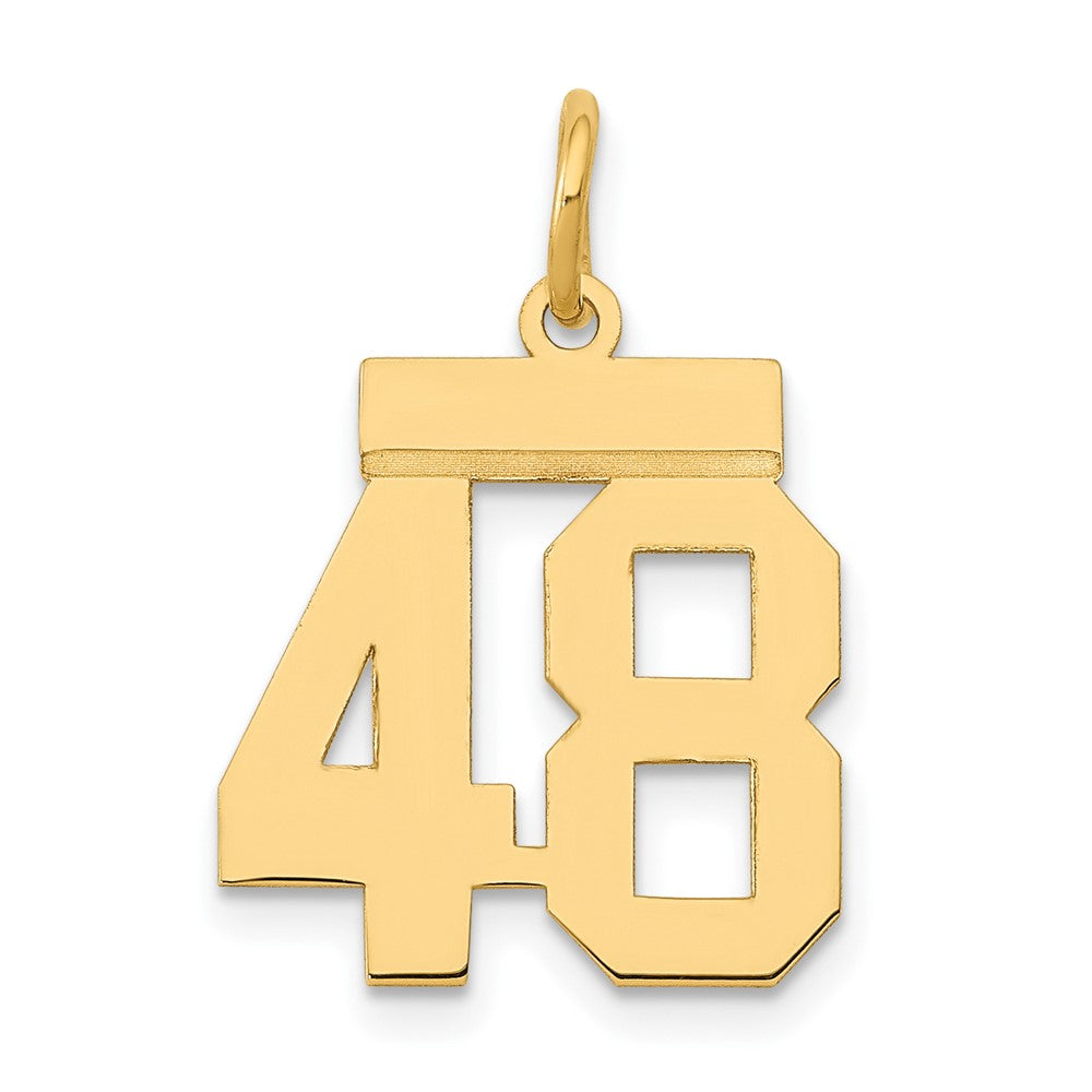 Charlie & Co Jewelry | 14k Small Polished Number 48 Charm - Model LS48