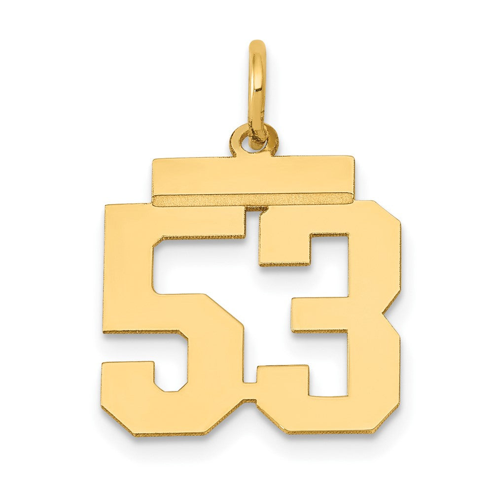 Charlie & Co Jewelry | 14k Small Polished Number 53 Charm - Model LS53