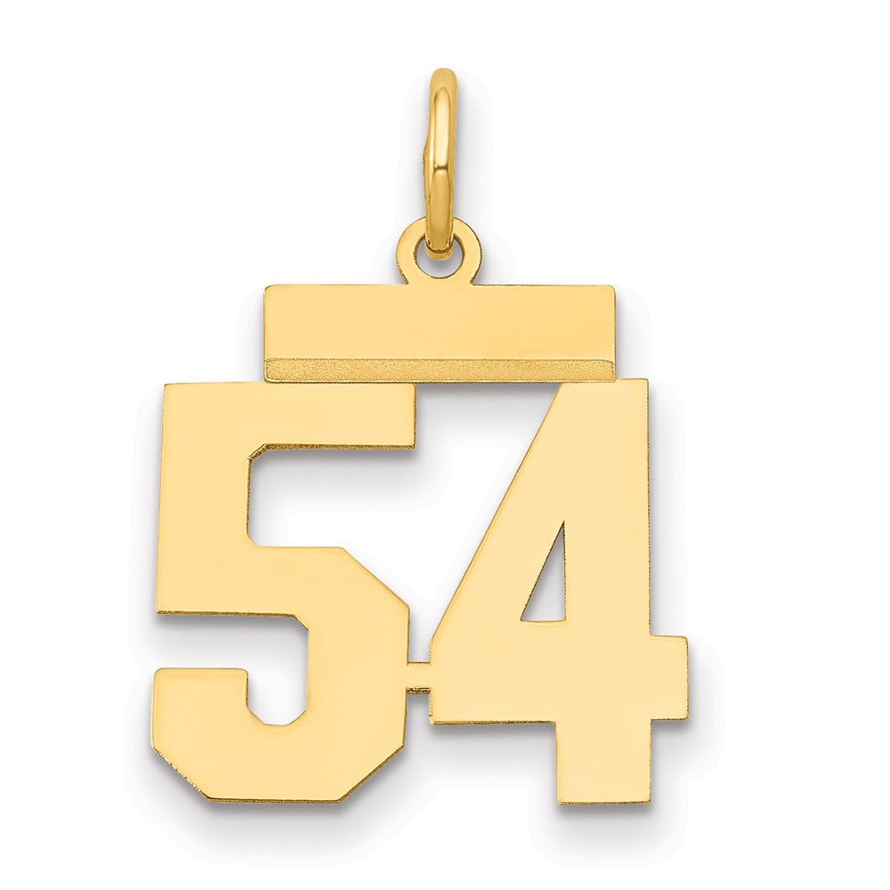 Charlie & Co Jewelry | 14k Small Polished Number 54 Charm - Model LS54