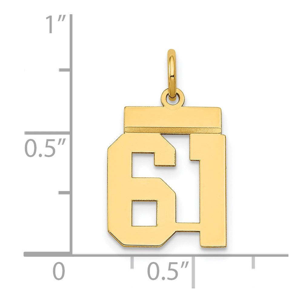 Charlie & Co Jewelry | 14k Small Polished Number 61 Charm - Model LS61
