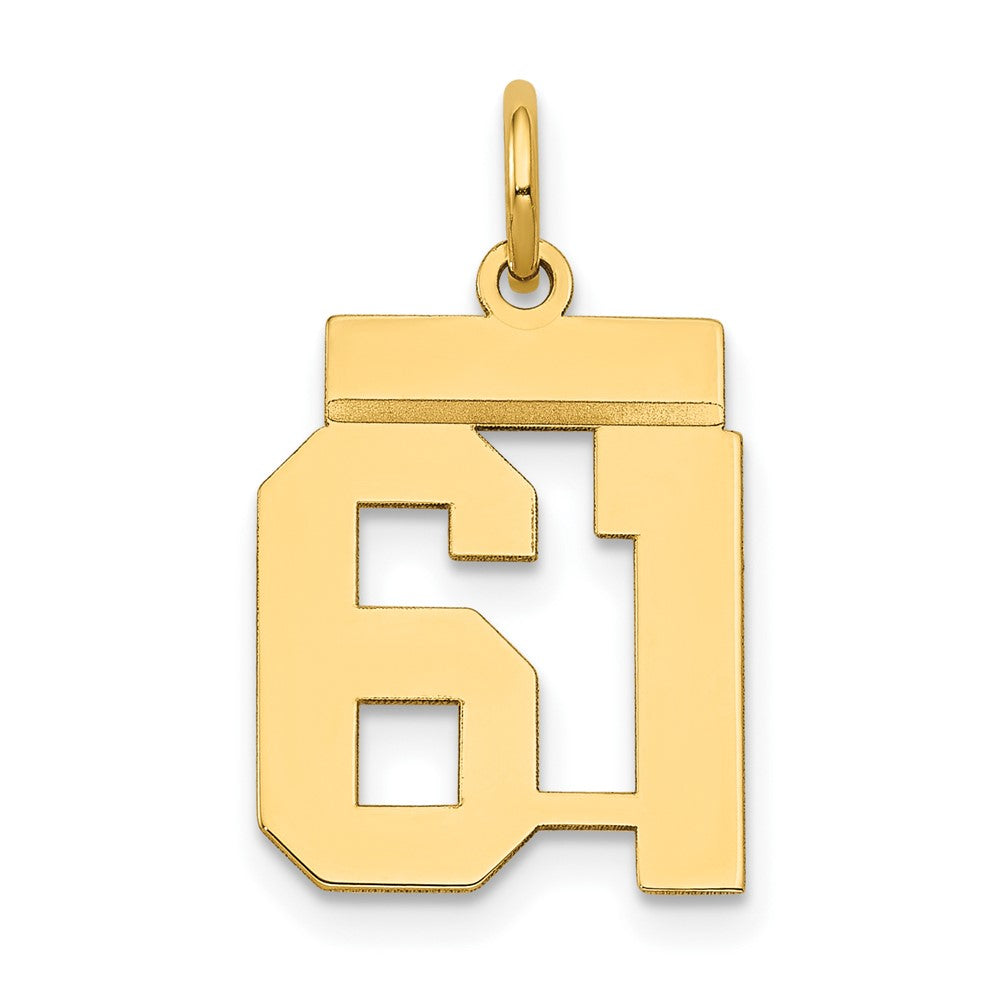 Charlie & Co Jewelry | 14k Small Polished Number 61 Charm - Model LS61