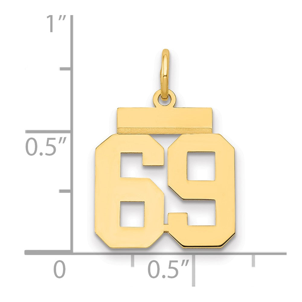 Charlie & Co Jewelry | 14k Small Polished Number 69 Charm - Model LS69