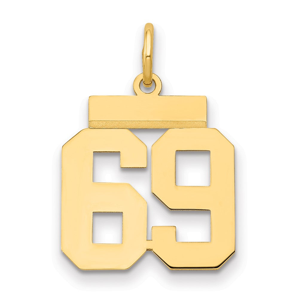 Charlie & Co Jewelry | 14k Small Polished Number 69 Charm - Model LS69