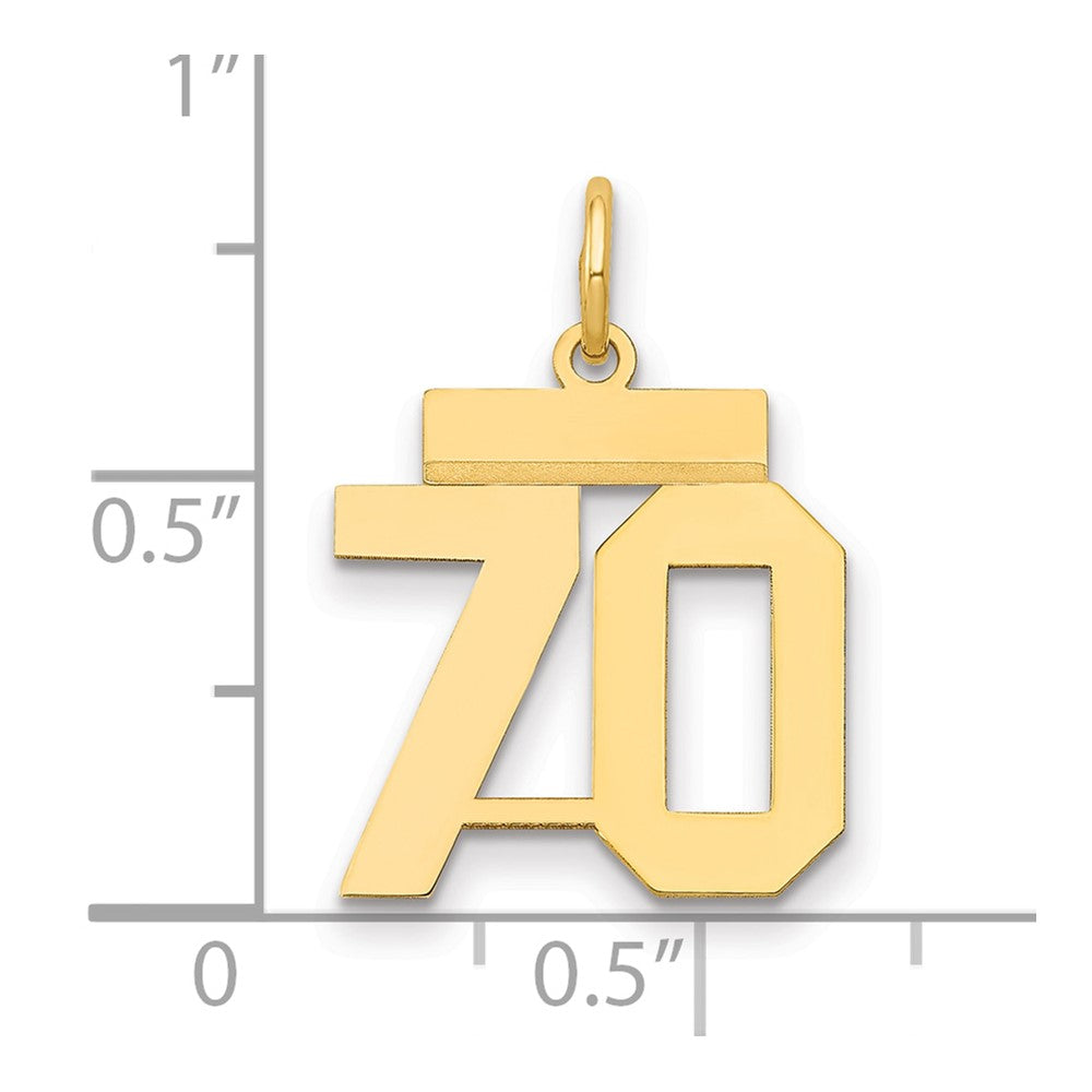 Charlie & Co Jewelry | 14k Small Polished Number 70 Charm - Model LS70