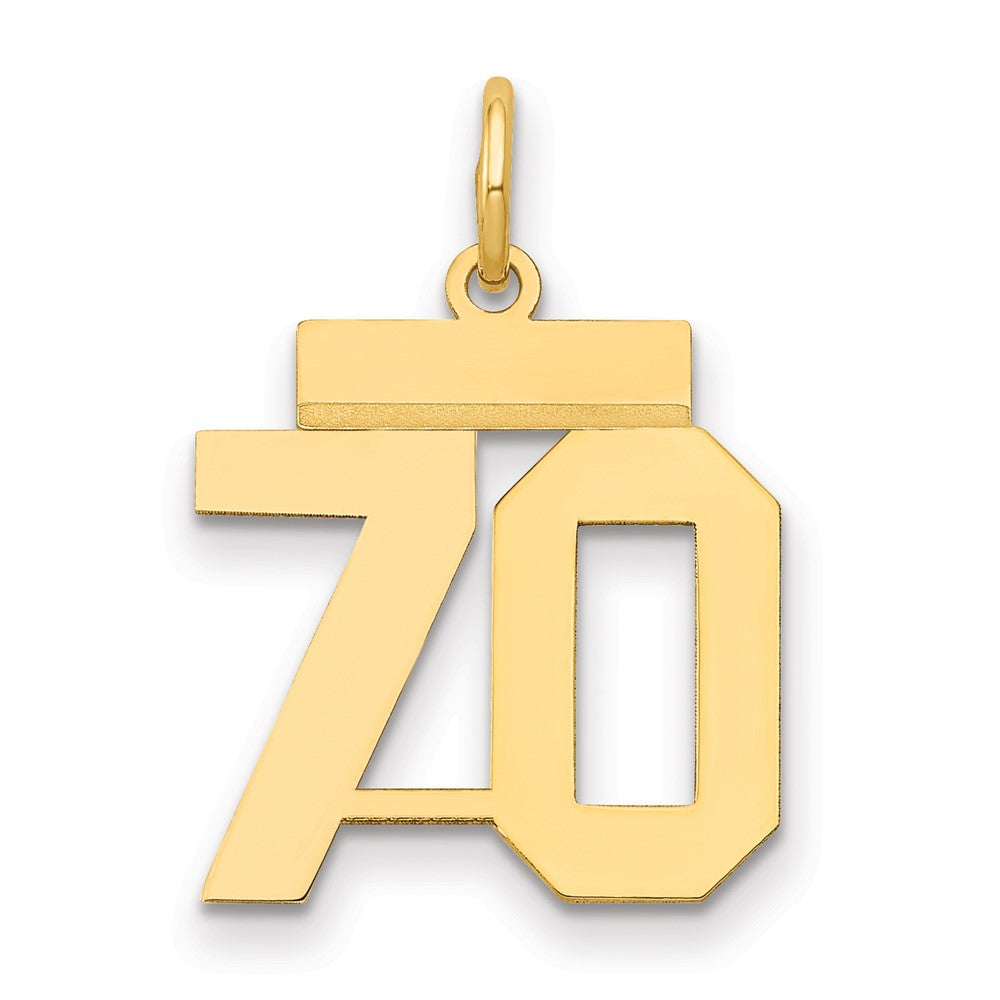 Charlie & Co Jewelry | 14k Small Polished Number 70 Charm - Model LS70