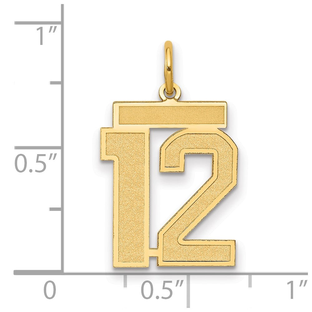 Charlie & Co Jewelry | 14k Medium Satin Number 12 Charm - Model LSM12