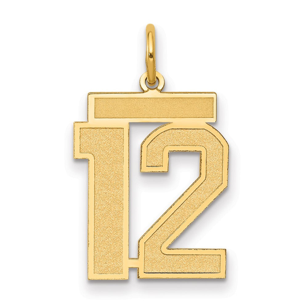Charlie & Co Jewelry | 14k Medium Satin Number 12 Charm - Model LSM12