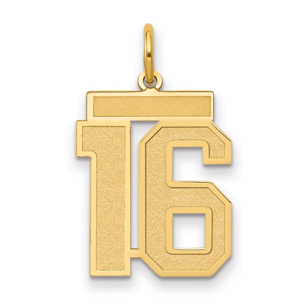 Charlie & Co Jewelry | 14k Medium Satin Number 16 Charm - Model LSM16