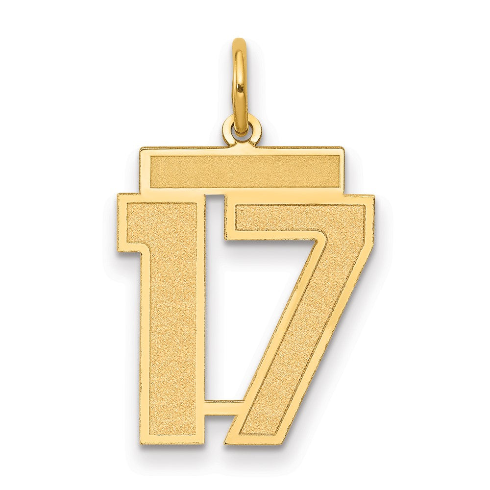 Charlie & Co Jewelry | 14k Medium Satin Number 17 Charm - Model LSM17