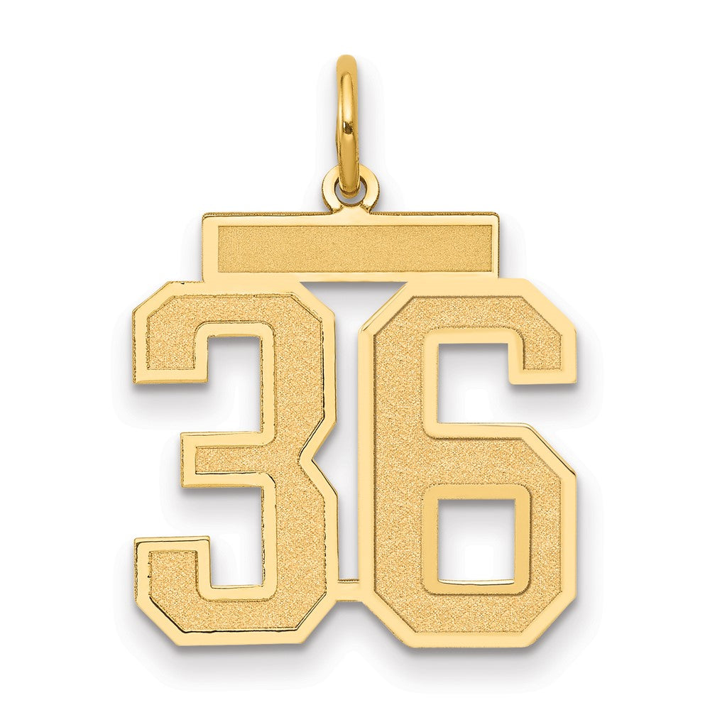 Charlie & Co Jewelry | 14k Medium Satin Number 36 Charm - Model LSM36