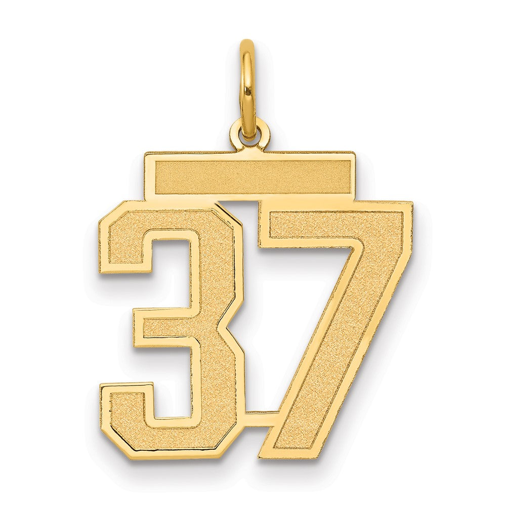 Charlie & Co Jewelry | 14k Medium Satin Number 37 Charm - Model LSM37