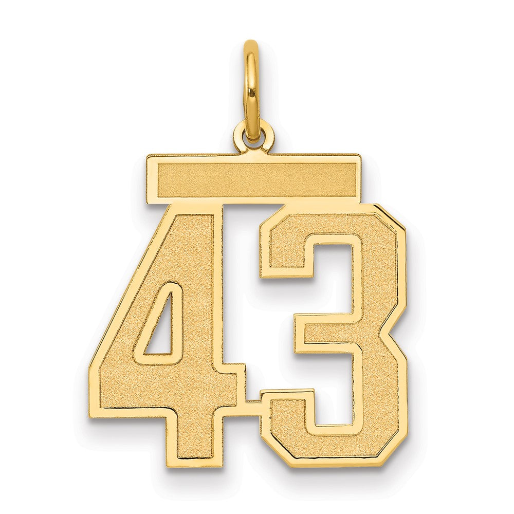Charlie & Co Jewelry | 14k Medium Satin Number 43 Charm - Model LSM43