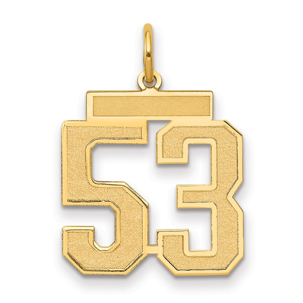Charlie & Co Jewelry | 14k Medium Satin Number 53 Charm - Model LSM53