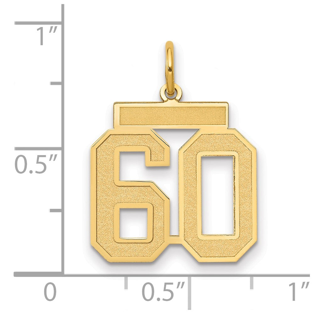 Charlie & Co Jewelry | 14k Medium Satin Number 60 Charm - Model LSM60