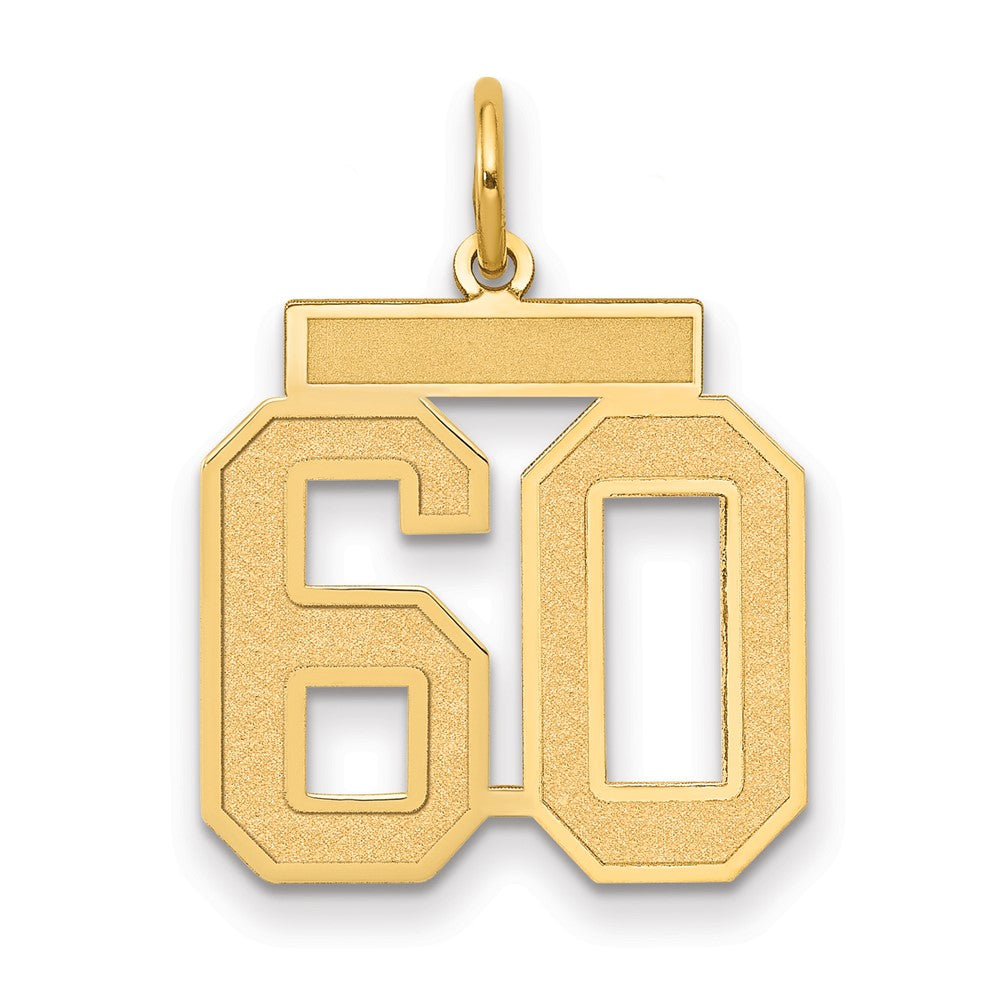 Charlie & Co Jewelry | 14k Medium Satin Number 60 Charm - Model LSM60